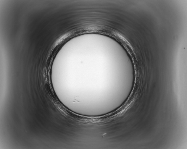 X0000087560970200704270923