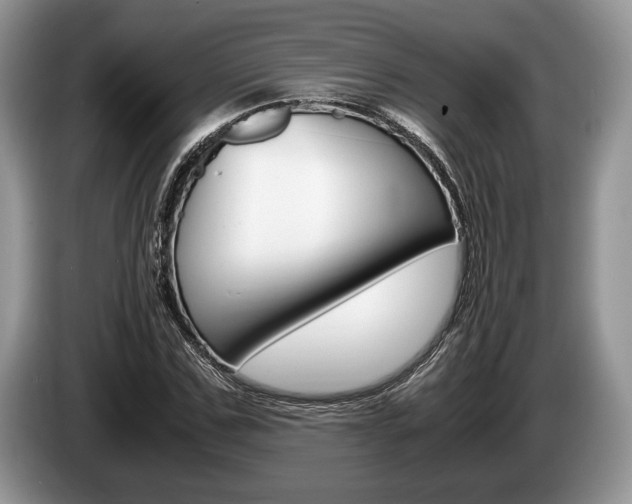 X0000087560971200704270923