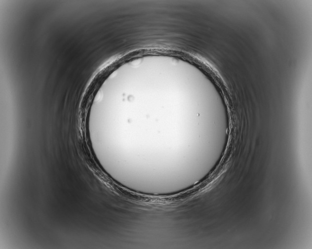 X0000087560974200704270923