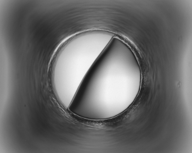 X0000087560975200704270923