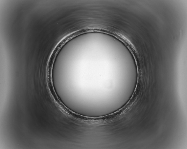 X0000087560976200704270923