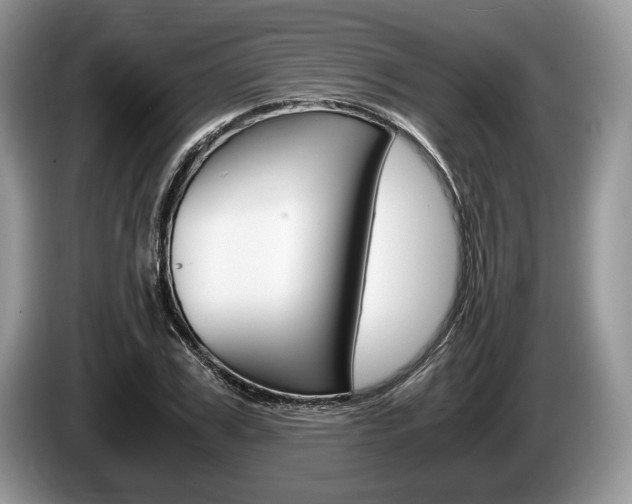 X0000087560979200704270923