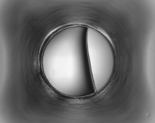 X0000087560980200704270923