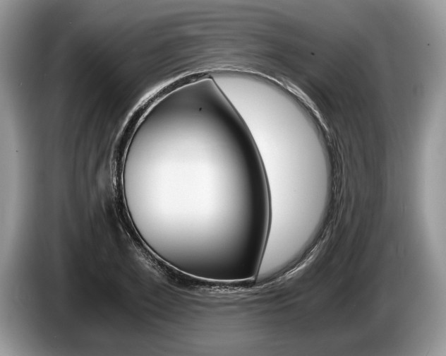 X0000087560981200704270923