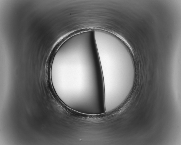 X0000087560983200704270923