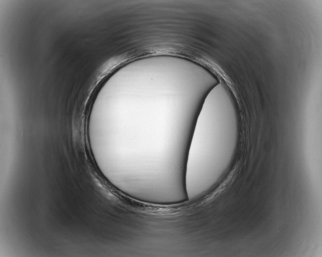 X0000087560986200704270923