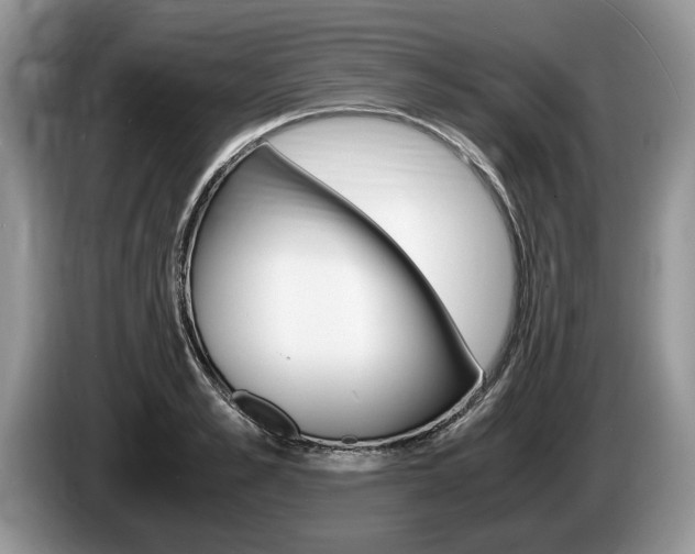 X0000087560989200704270923