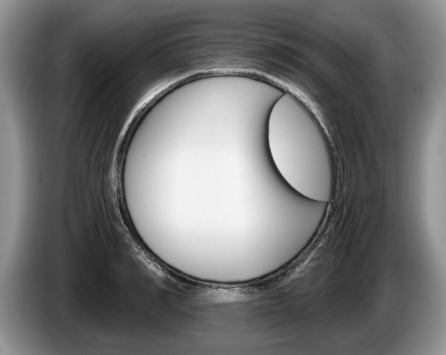 X0000087560990200704270923
