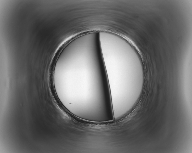 X0000087560991200704270923