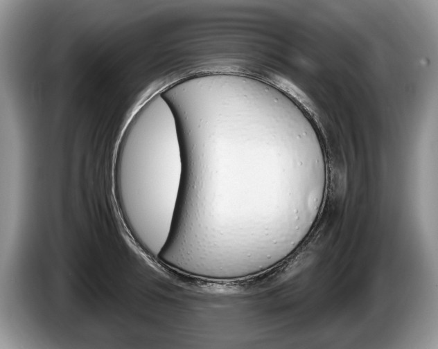 X0000087560994200704270923