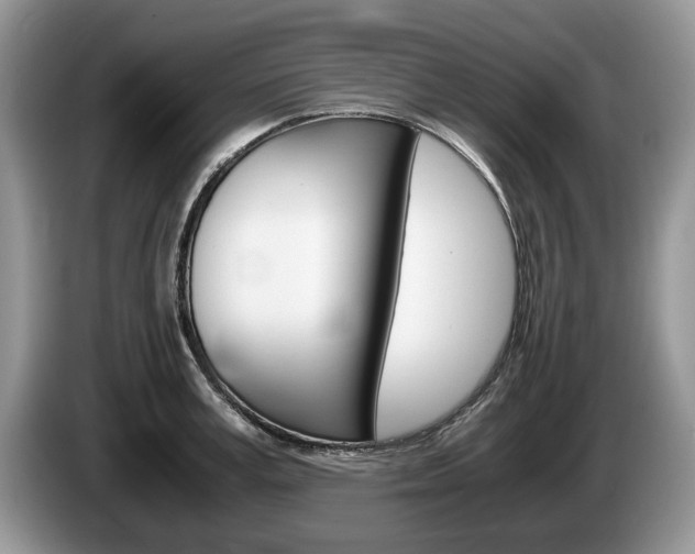X0000087560995200704270923