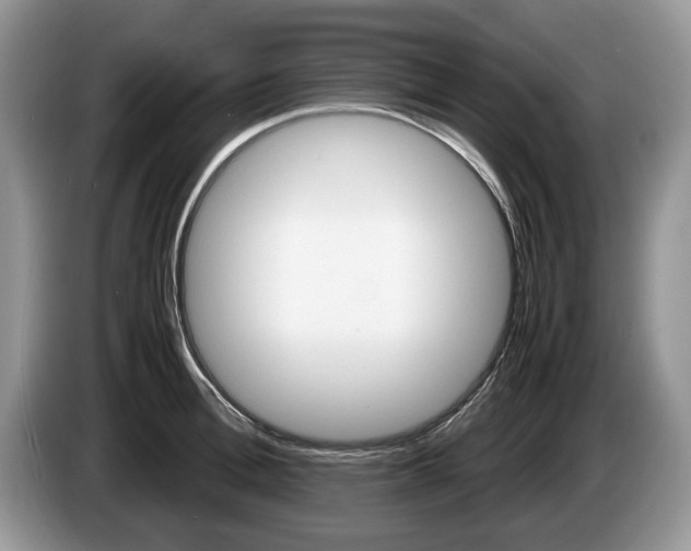 X0000087560996200704270922