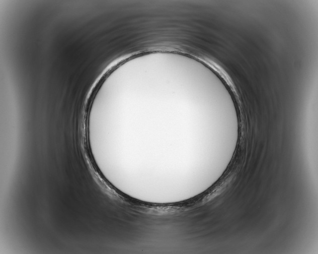 X0000087561000200704270922