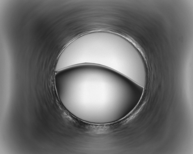 X0000087561001200704270922