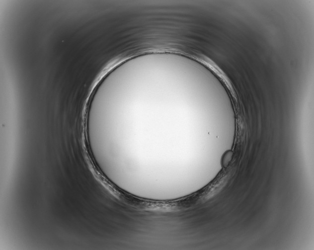 X0000087561002200704270922