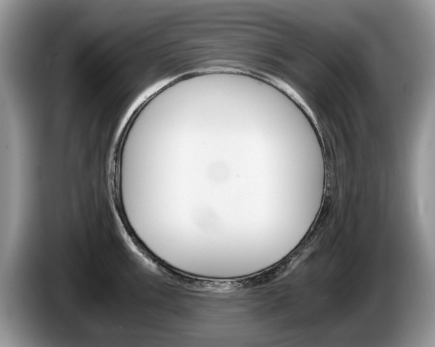 X0000087561003200704270922