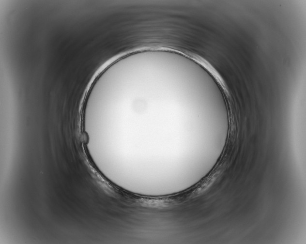 X0000087561004200704270922