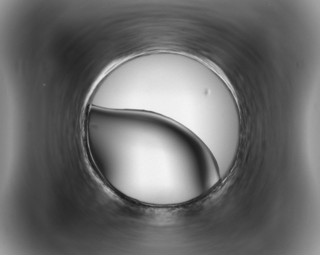 X0000087561005200704270922