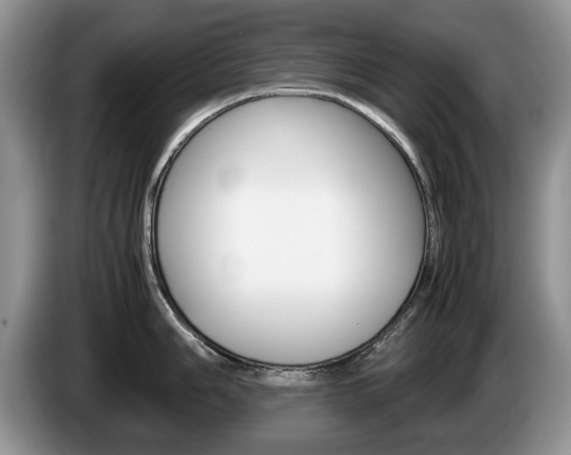 X0000087561006200704270922