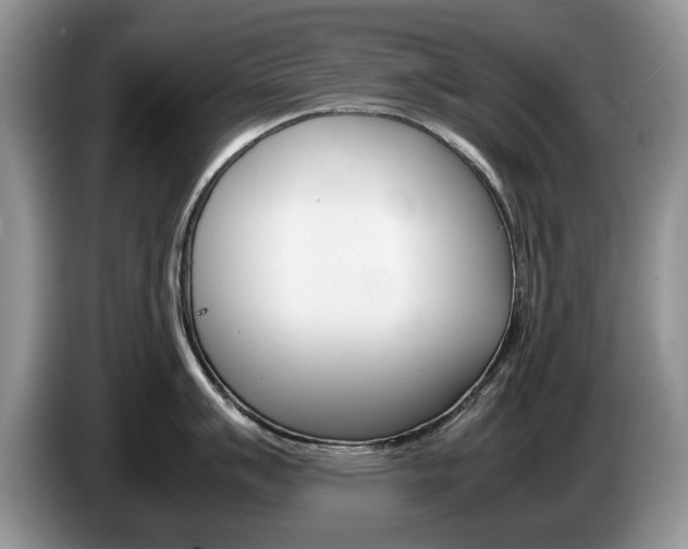 X0000087561007200704270922