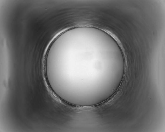 X0000087561008200704270922