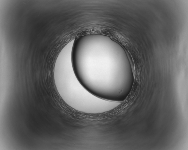 X0000087561010200704270922
