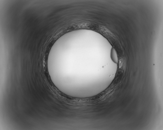 X0000087561011200704270922
