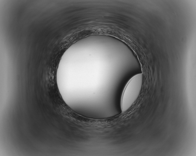 X0000087561013200704270922