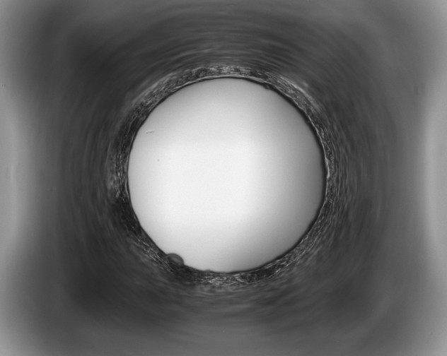 X0000087561015200704270922