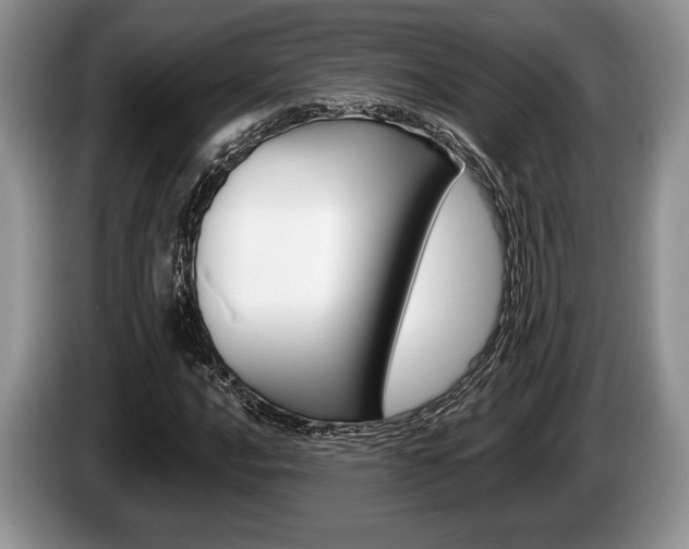 X0000087561016200704270922