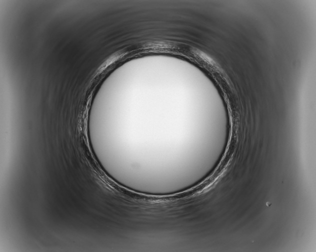 X0000087561017200704270922