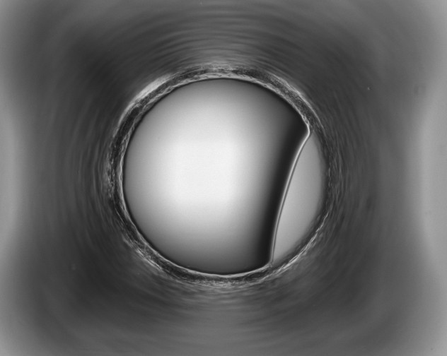 X0000087561018200704270922