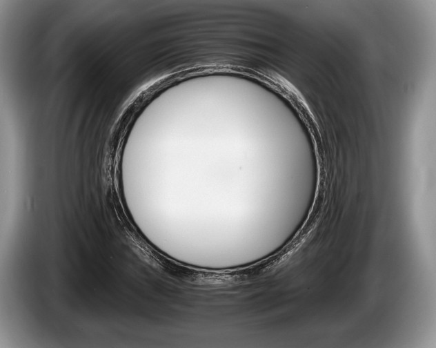 X0000087561019200704270922