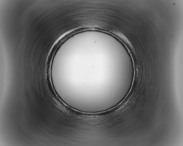 X0000087561020200704270922