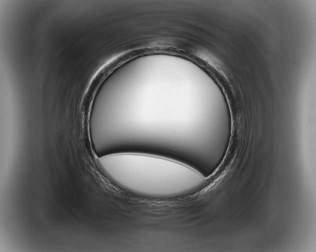 X0000087561021200704270922