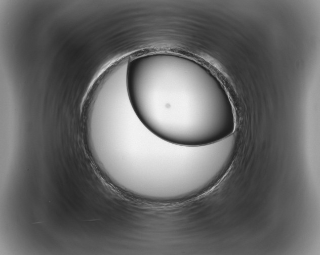 X0000087561022200704270922