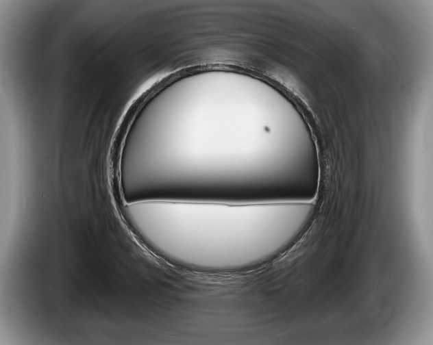 X0000087561024200704270922