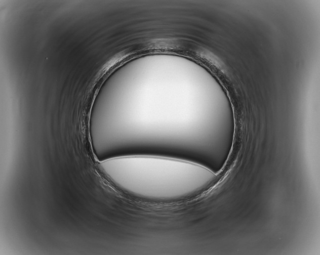 X0000087561025200704270922