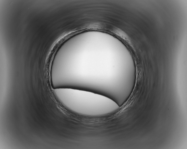 X0000087561027200704270922