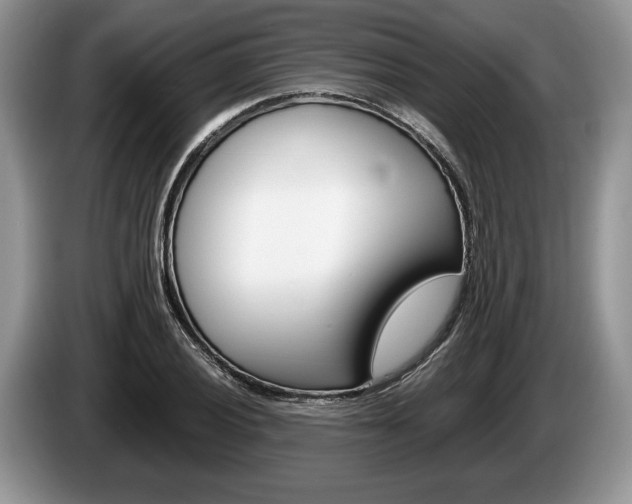 X0000087561028200704270922