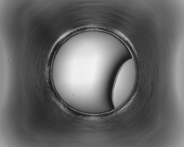 X0000087561029200704270922