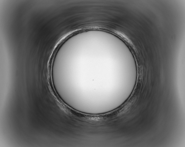 X0000087561031200704270922