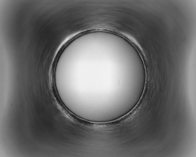 X0000087561032200704270922