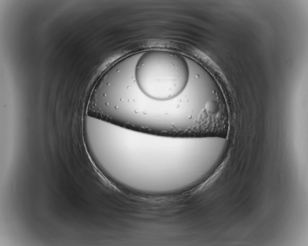 X0000087561033200704270922