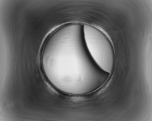 X0000087561037200704270922