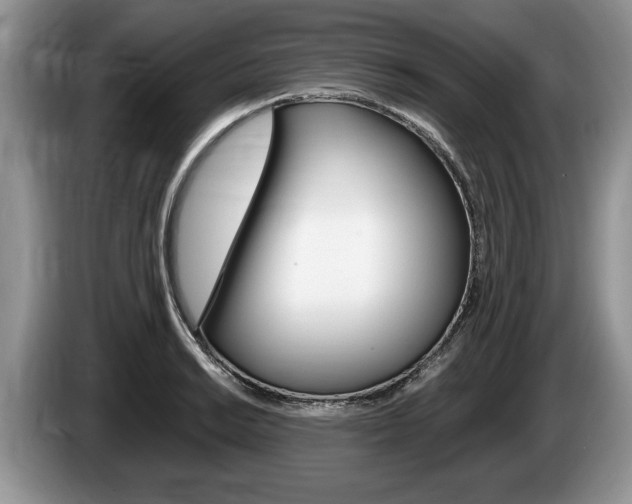 X0000087561038200704270922