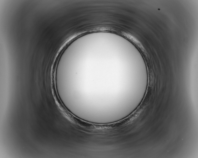 X0000087561039200704270922