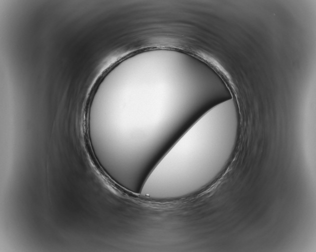 X0000087561040200704270922