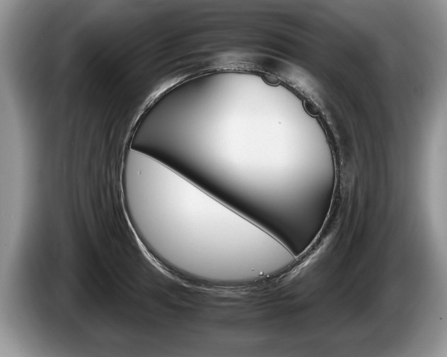 X0000087561041200704270922