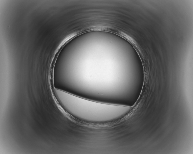 X0000087561042200704270922